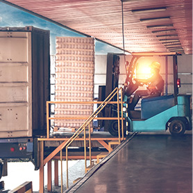 Hassle Free Shipping Hassle Free Shipping